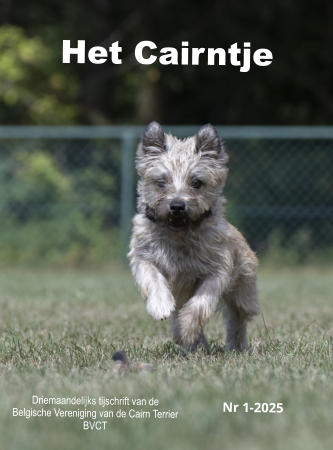 Het Cairntje Nr 1-2025 Driemaandelijks tijschrift van de Belgische Vereniging van de Cairn Terrier BVCT